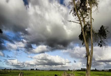 我的2018天涯论坛装修日记