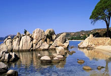 50岁何润东翻红 涨粉近100万